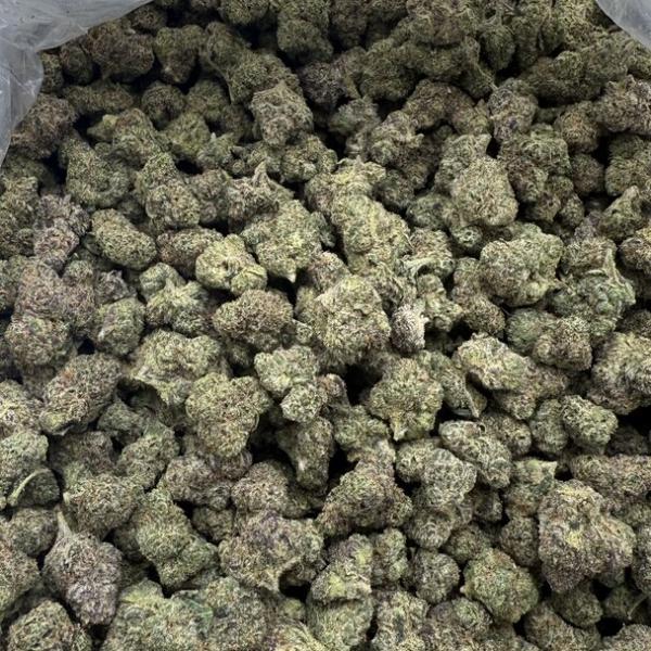Sour Diesel