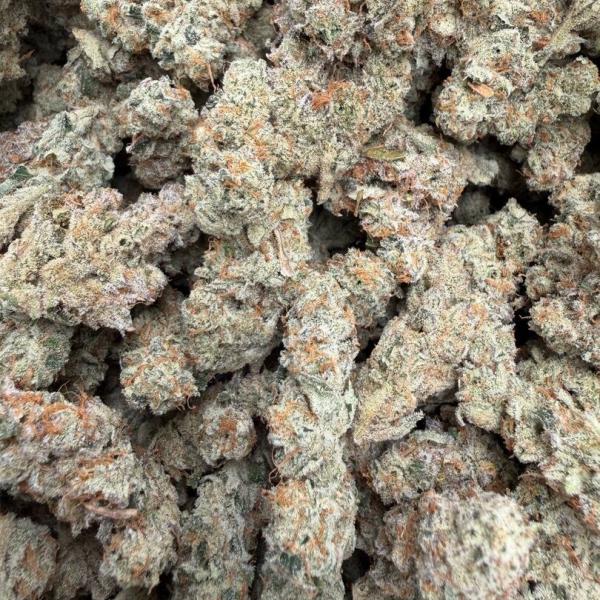 Purple Punch