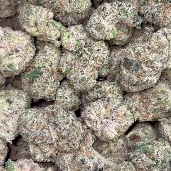 Candy #1