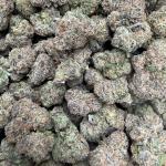 Super Lemon Cherry