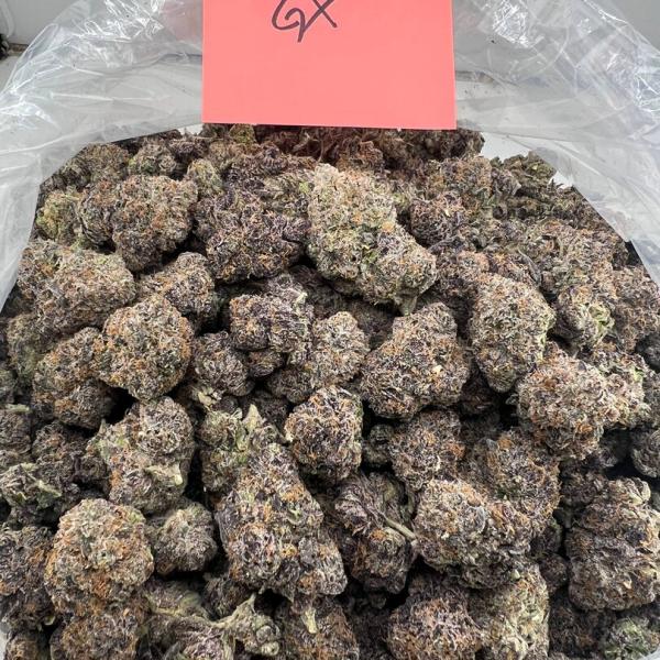 24k Blasters