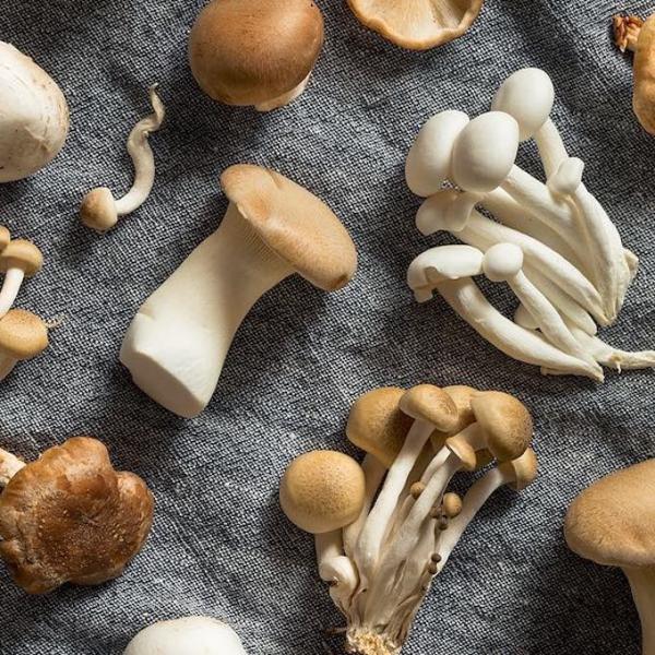 🍄 (Grade A) (1/8oz)