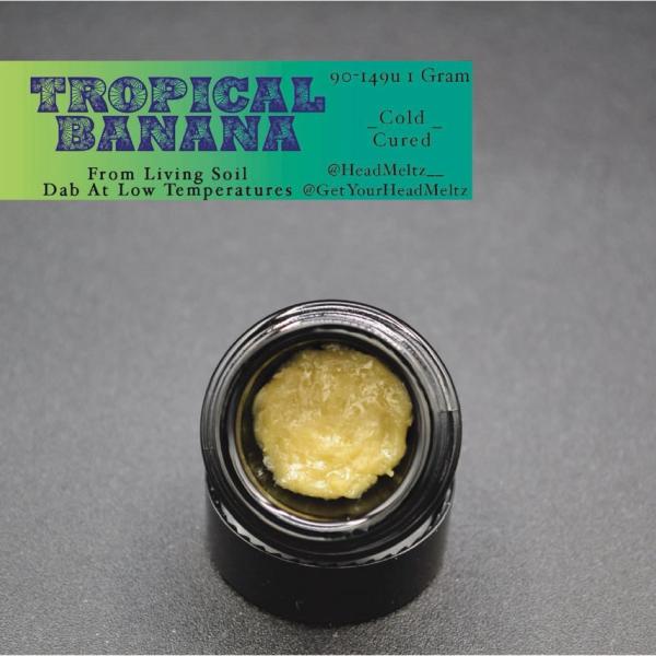 Live Rosin Gs