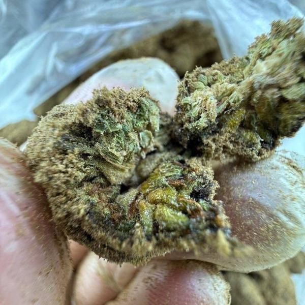 Moon rocks