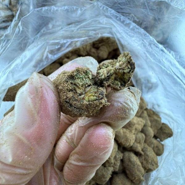 Moon rocks