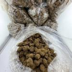 Moon rocks