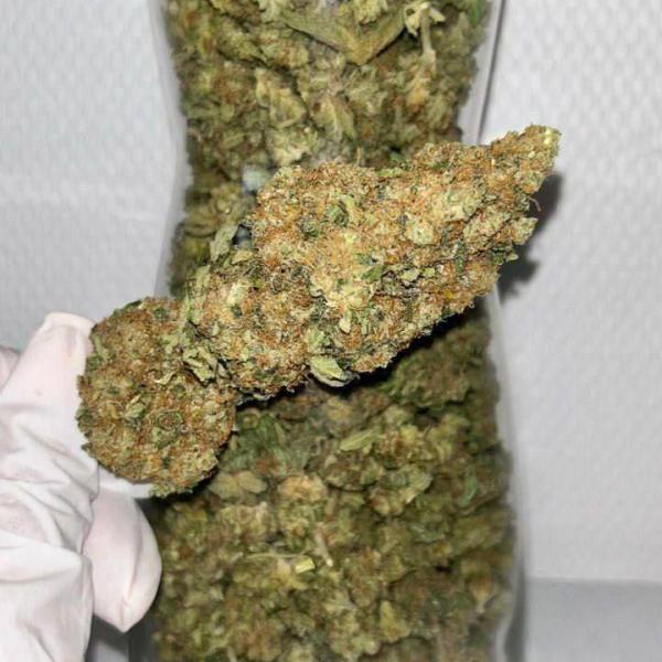 Lemon haze