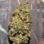 Lemon haze