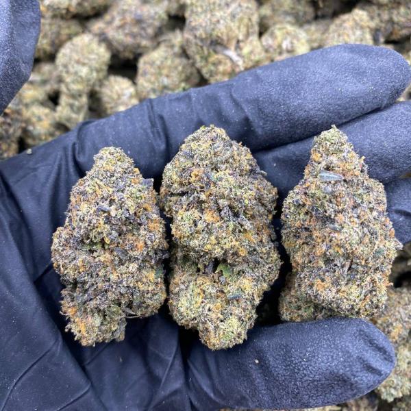 ICED CHERRY GELATO
