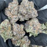 White Rabbit 🍬 🐰