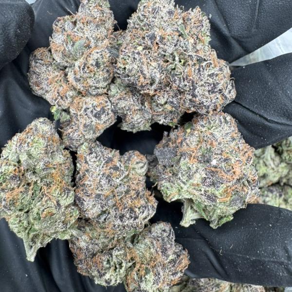 White Rabbit 🍬 🐰