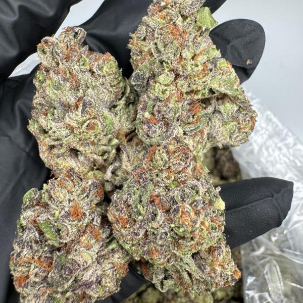 Honey Bun 🍯 ,,,,,, 1lbs 500,,, 5+ @450