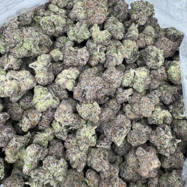 Z candy 🍬