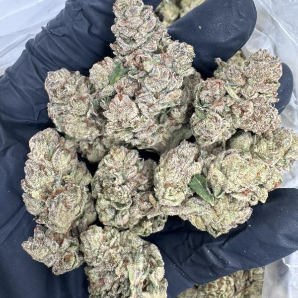 Lobster Butter 🦞 🧈.... Singles 500, 5+ @450,, 10 @400.   Loud gas nose