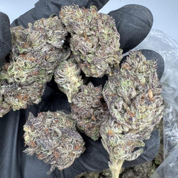 Recession Proof 💰,,,  1lbs 500,,,, 5+ @450