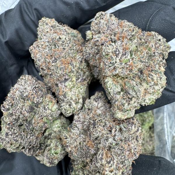 White Gummy 🍭