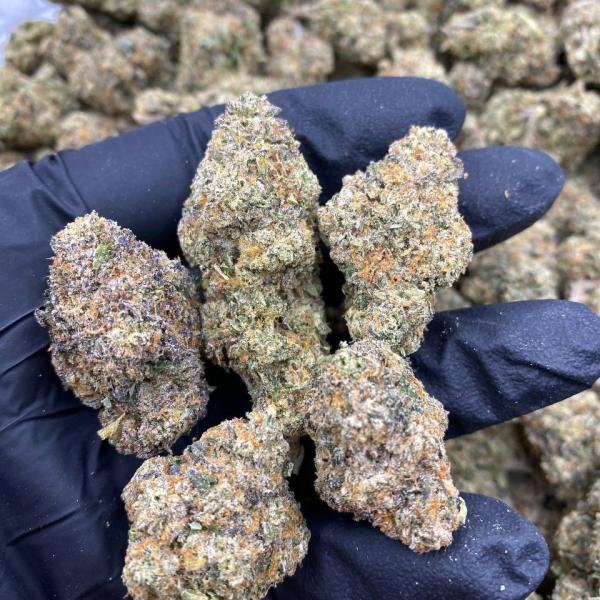 WHITE HEADBAND