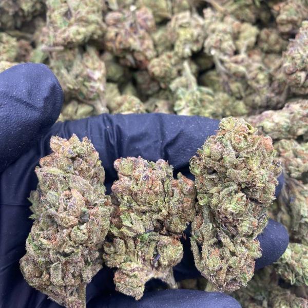 BUBBLEGUM GELATO