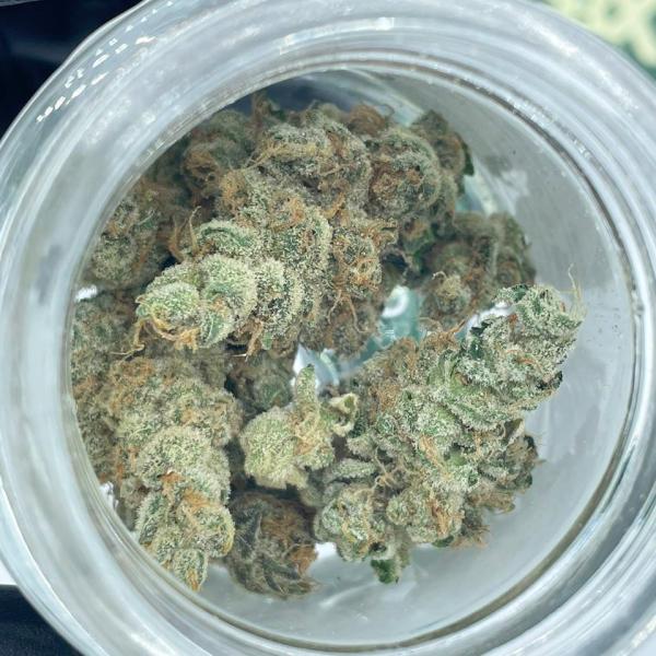 CBX (Cannabiotix) 3.5g Flower