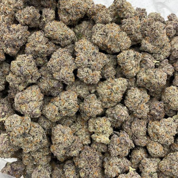 Miami Melons indoors 🌆🍈