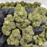 Cereal Milk 🥣🥛