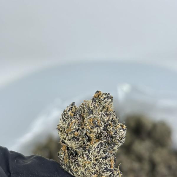 BLACK CHERRY GELATO 🍬 🍒