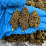 PINEAPPLE EXPRESS🍍