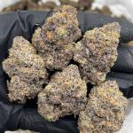 Bubblegum Zkittlez indoors 🍭