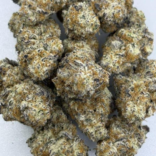 🍷🍝AUTUMN SUNSET🫜 #57