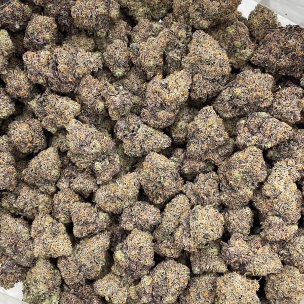 Bubblegum Zkittlez indoors 🍭