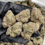 Cotton Candy indoors 🍭