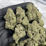 Zhirley Temple  🍒