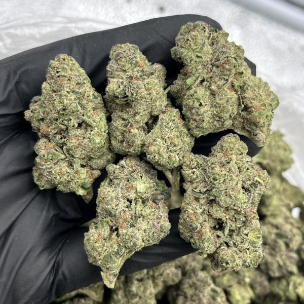 Zhirley Temple  🍒