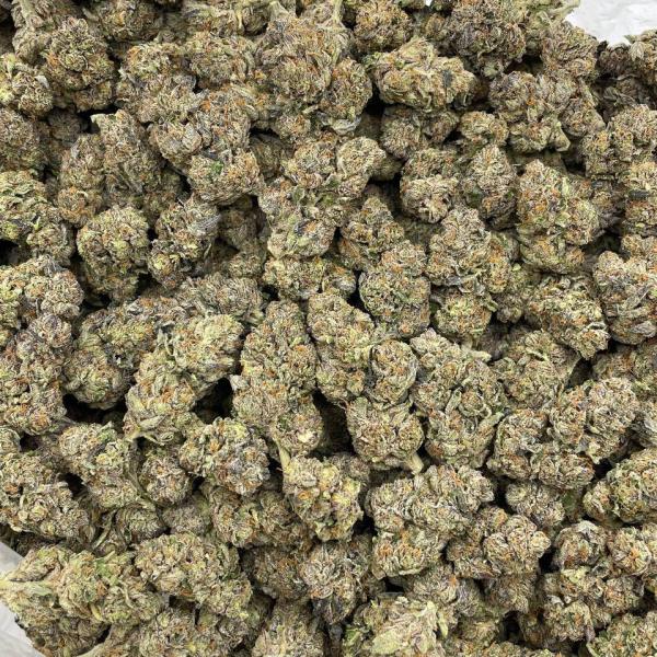 Rainbow Cherry mixed lights