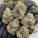 Pineapple Fanta indoors🍍🥤