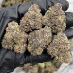 Fruit Rollup indoors