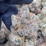 BLUE LEMON CHERRY 🍒