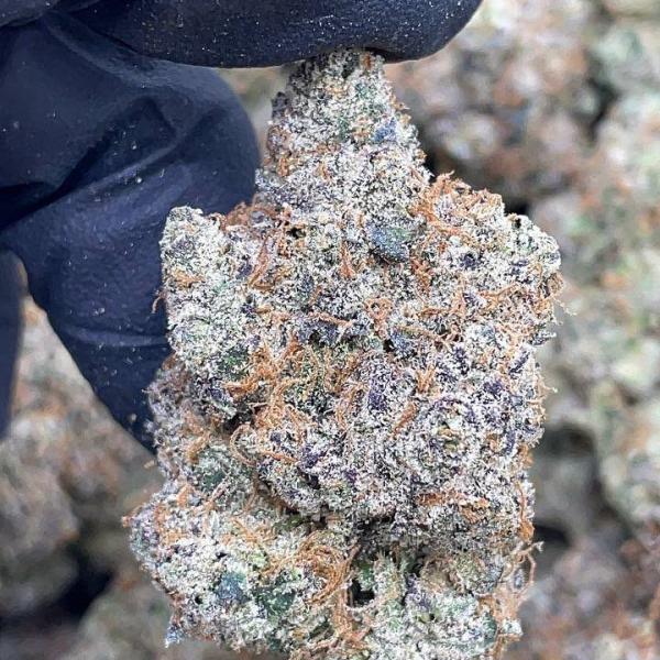 BLUE LEMON CHERRY 🍒