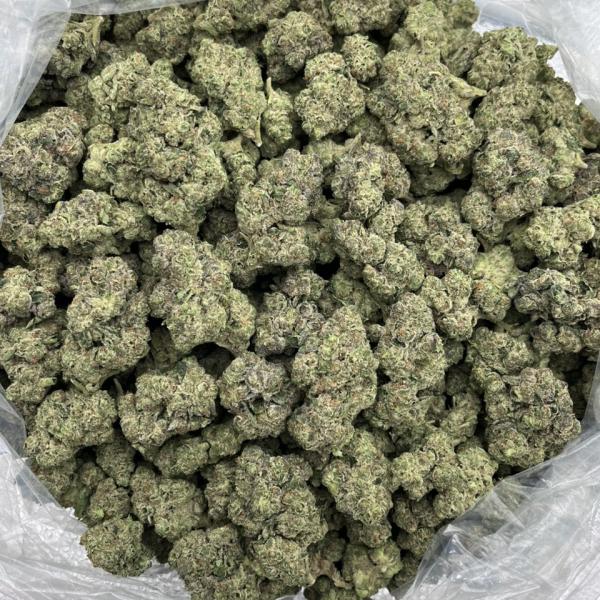 Zhirley Temple  🍒