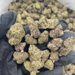 Bubblegum taffy indoor smalls 🫧