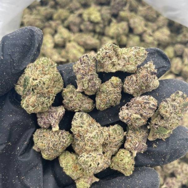 Bubblegum taffy indoor smalls 🫧