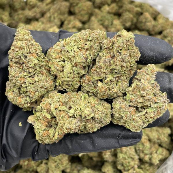 Fruit Stripes mixed lights