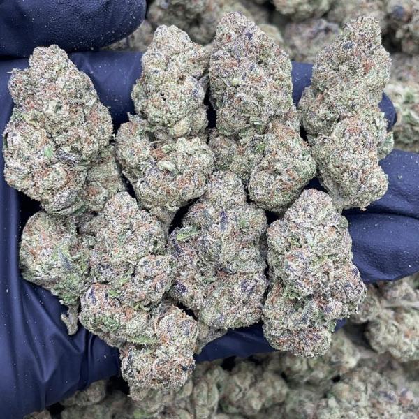 LEMON CHERRY GELATO DEPS