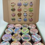 ARCADIA ICE CREAM EDITION 🍦