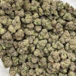 Martian Candy indoors 🛸👽🍭