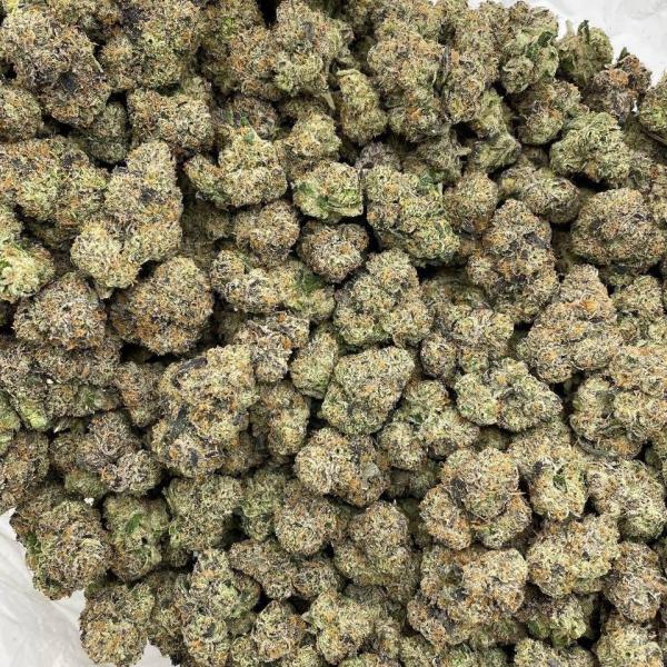 Martian Candy indoors 🛸👽🍭