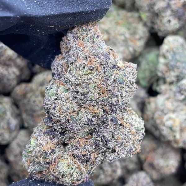 Bubblegum Runtz 🍭