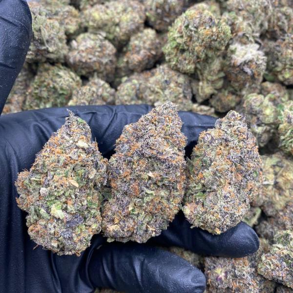 Rocket Fuel deps 🚀⛽️