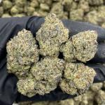 Blue Shaved Ice mixed lights