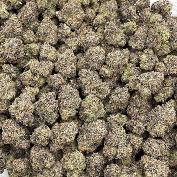 Fruit Rollup indoors